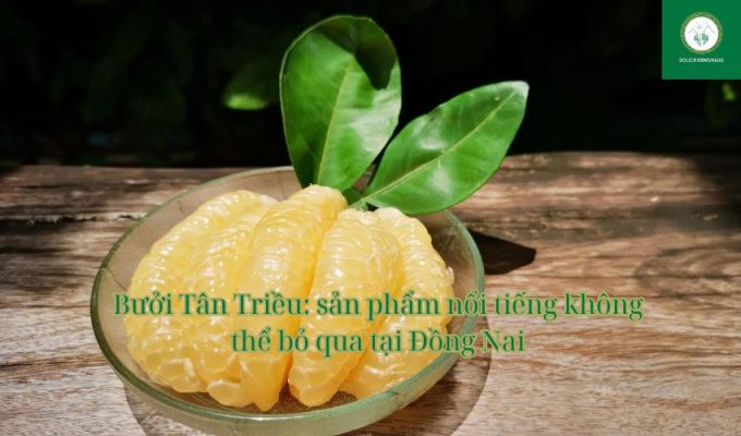 Bưởi Tân Triều: sản phẩm nổi tiếng không thể bỏ qua tại Đồng Nai