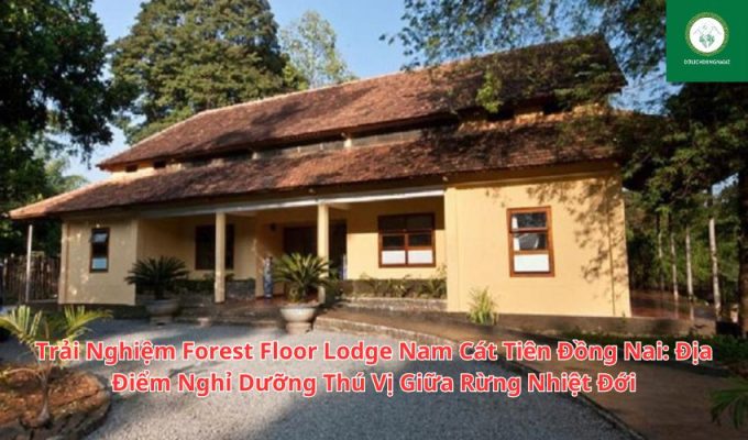 Trải Nghiệm Forest Floor Lodge Nam Cát Tiên Đồng Nai: Địa Điểm Nghỉ Dưỡng Thú Vị Giữa Rừng Nhiệt Đới